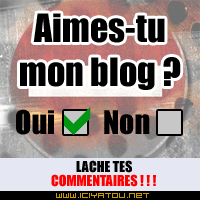 tu l'aime mon petit blog